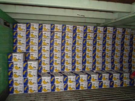 SSUN CARGO2020_10.JPG SSUN CARGO2020_10.JPG